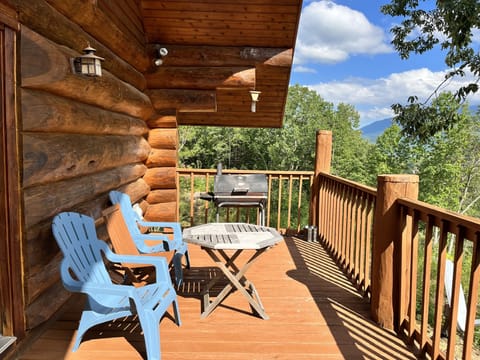 Indoors, Nature, Outdoors, Scenery, Hardwood