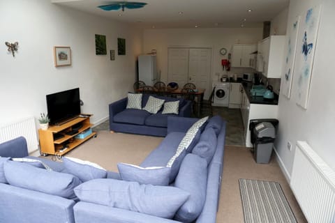 Dragonfly's Living Room