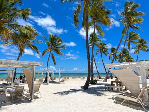 Sun loungers, beach towels