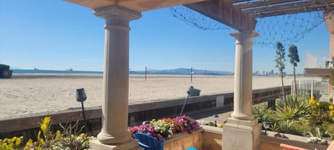 On the beach, sun loungers, beach towels