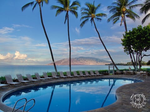 Outdoor pool, a heated pool, sun loungers