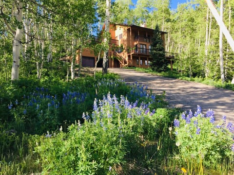 Mountain Modern Exterior