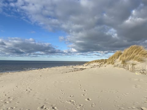 On the beach