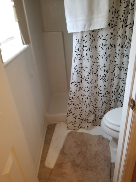 Shower, jetted tub, hair dryer, towels