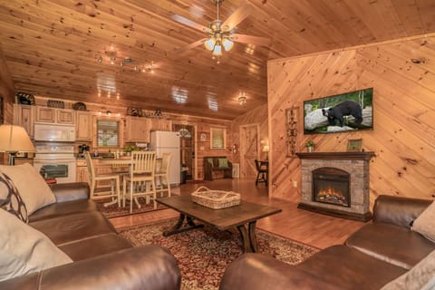 Living Room: electric fireplace, ceiling fan, queen sofa & Roku TV.