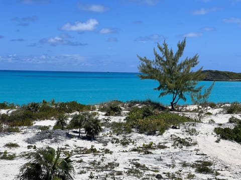 On the beach, sun loungers, beach towels