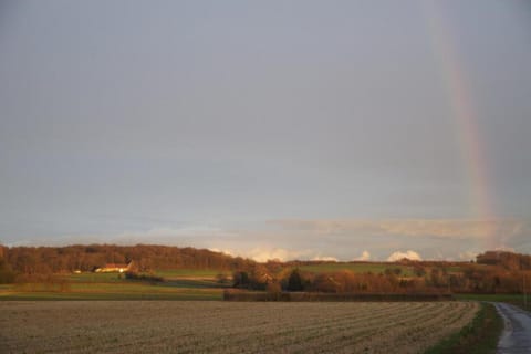 Region [summer] (&gt;5 km)