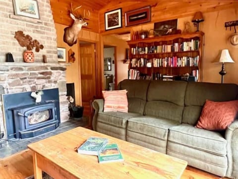 Fireplace, books, music library, stereo