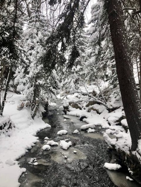 Beautiful in the winter, too