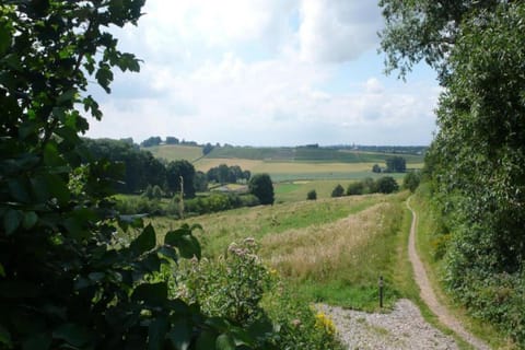 Region [summer] (&gt;5 km)