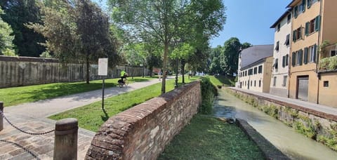 Plant, Window, Sky, Tree, Road Surface, Land Lot, Building, Urban Design, Grass, Road