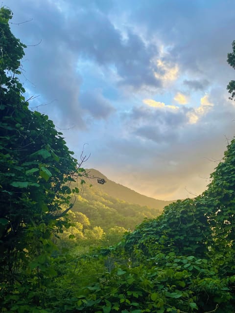 Summer view from lower 2 chairs
