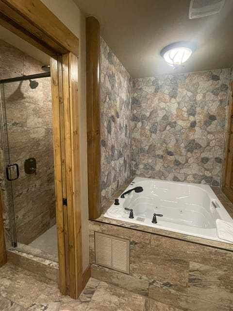 Shower, jetted tub, hair dryer, towels