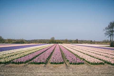 Immediate Surroundings [summer] (<1 km)