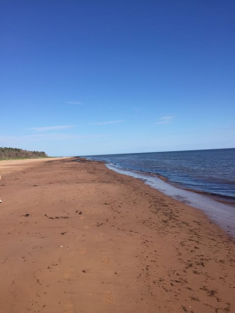 Beach nearby, sun loungers, beach towels