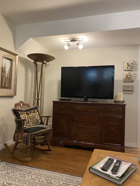 TV, fireplace, books