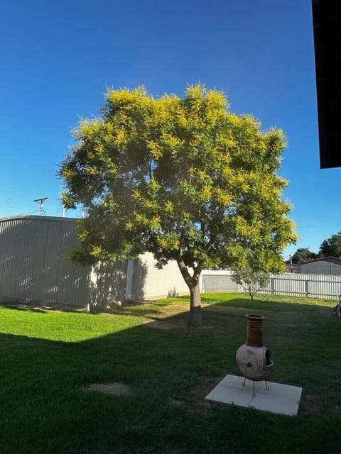 Large back yard, completely fenced in