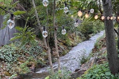 Rushing Wolf Creek in backyard