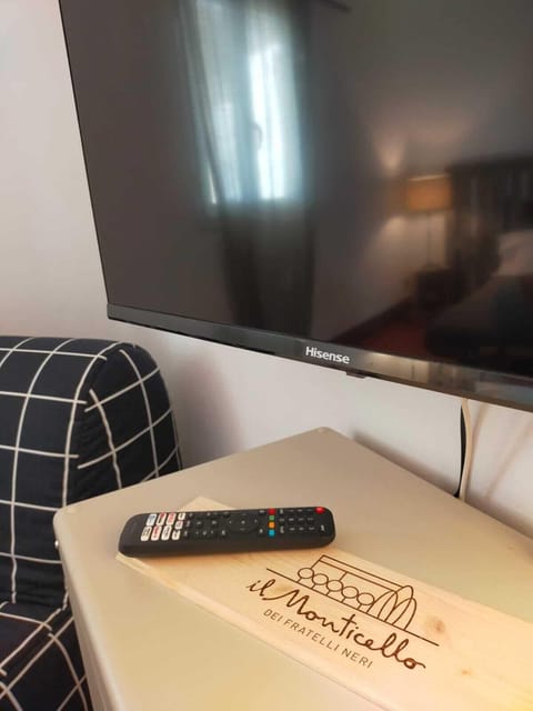 Television