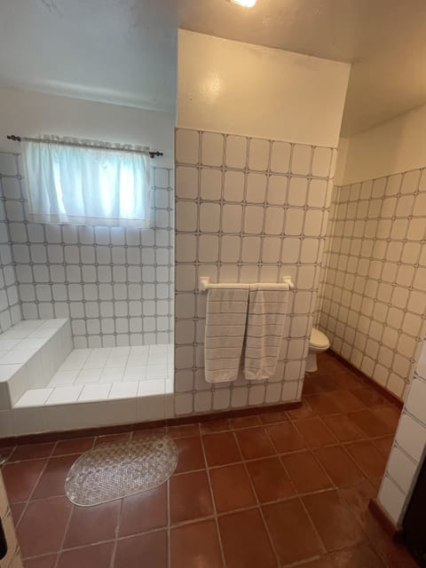 Combined shower/tub, hair dryer, towels, soap