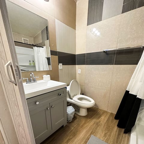 Combined shower/tub, hair dryer, towels, soap