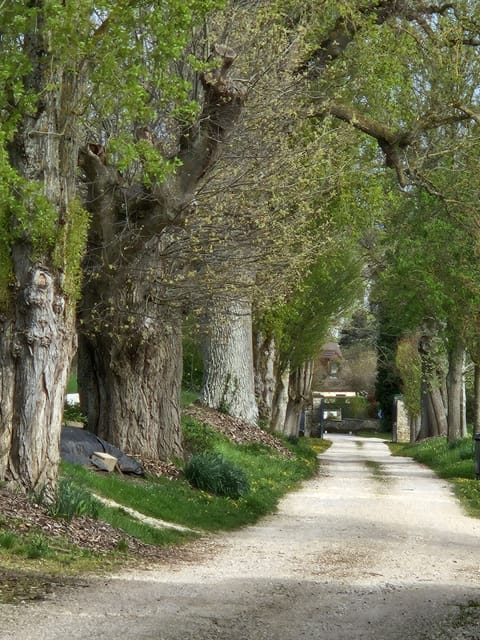 The entrance from the highway
