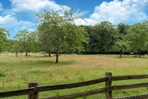 View from Holiday Home [summer]