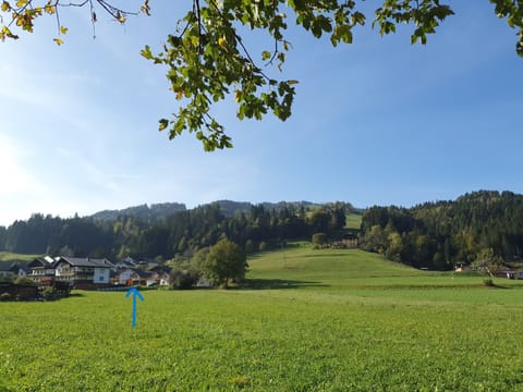 De piste met links Alpensuss 