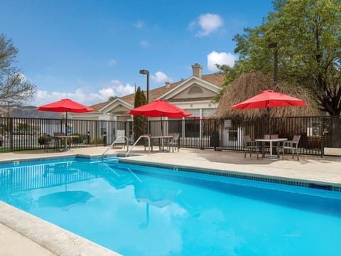 Dive into sun-soaked relaxation at the sparkling outdoor pool.