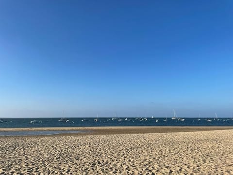 Beach nearby, sun loungers