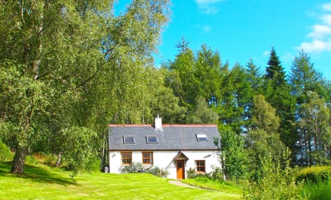 Fern Cottage on a Summer's day
