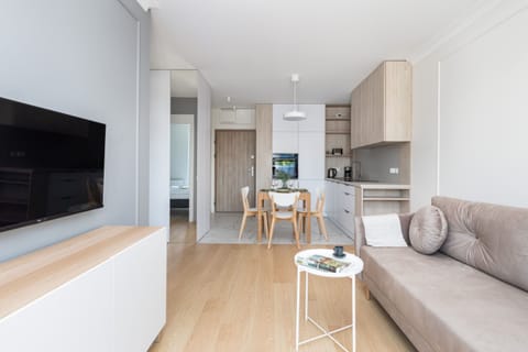 Comfortable living room with a sofa bed, TV and kitchenette.