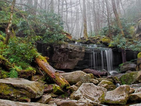 5ad6a129 b05f 4dca bf9b b6a46762bb67