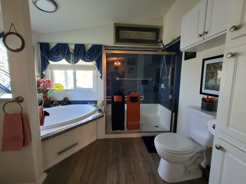 Combined shower/tub, jetted tub, hair dryer, towels