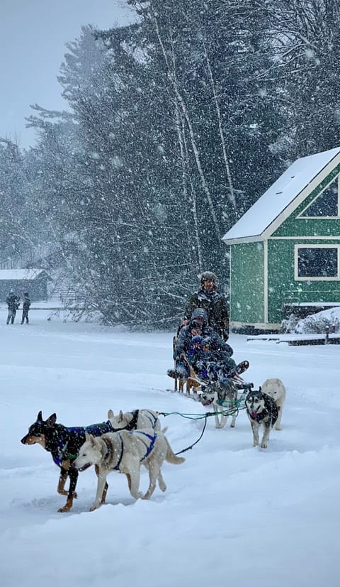 Snow and ski sports