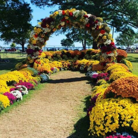 Outdoor banquet area