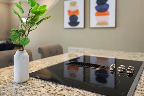 Our electric burner can be found in the center of the island - perfect for conversational cooking!