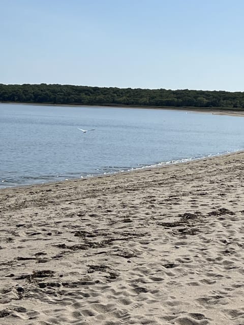 Private beach, sun loungers, beach towels