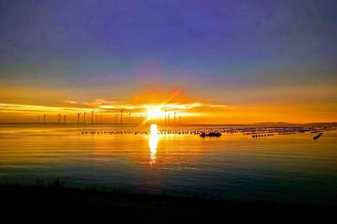 Region [summer] (&gt;5 km)