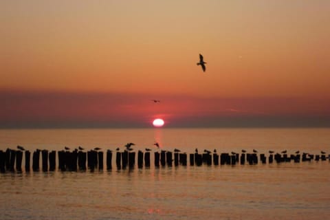 Region [summer] (&gt;5 km)