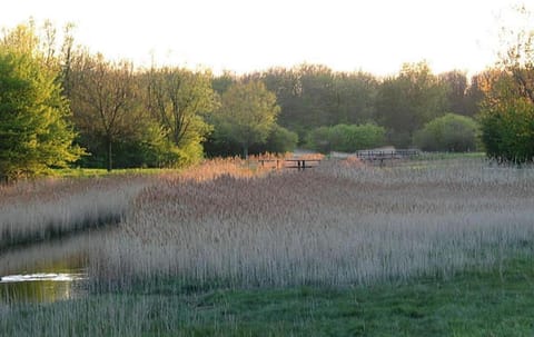 Region [summer] (&gt;5 km)