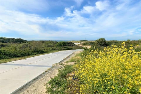 Region [summer] (&gt;5 km)