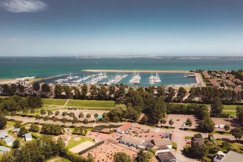 Region [summer] (&gt;5 km)