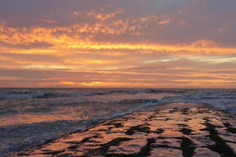 Region [summer] (&gt;5 km)