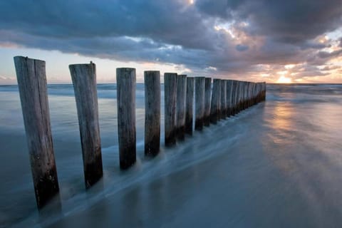 Region [summer] (&gt;5 km)