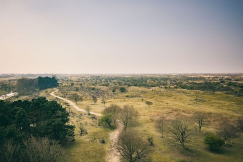 Surroundings [summer] (1-5 km)