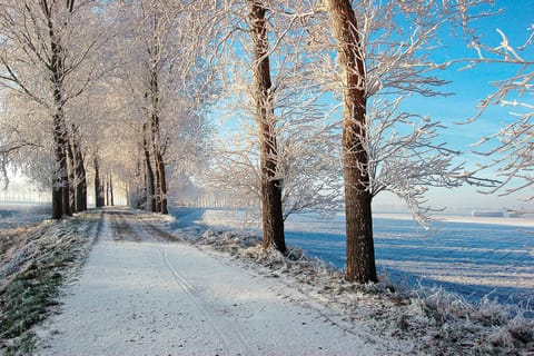 Surroundings [winter] (1-5 km)