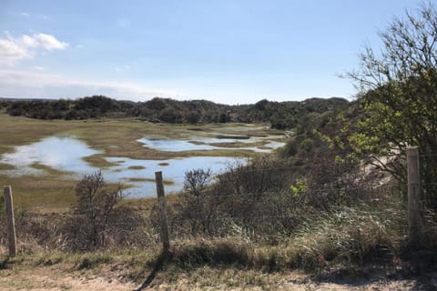 Region [summer] (&gt;5 km)