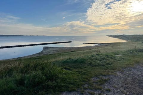 Region [summer] (&gt;5 km)