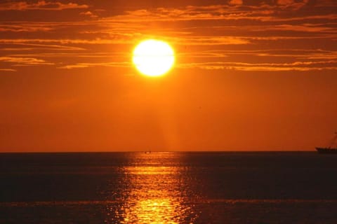 Region [summer] (&gt;5 km)